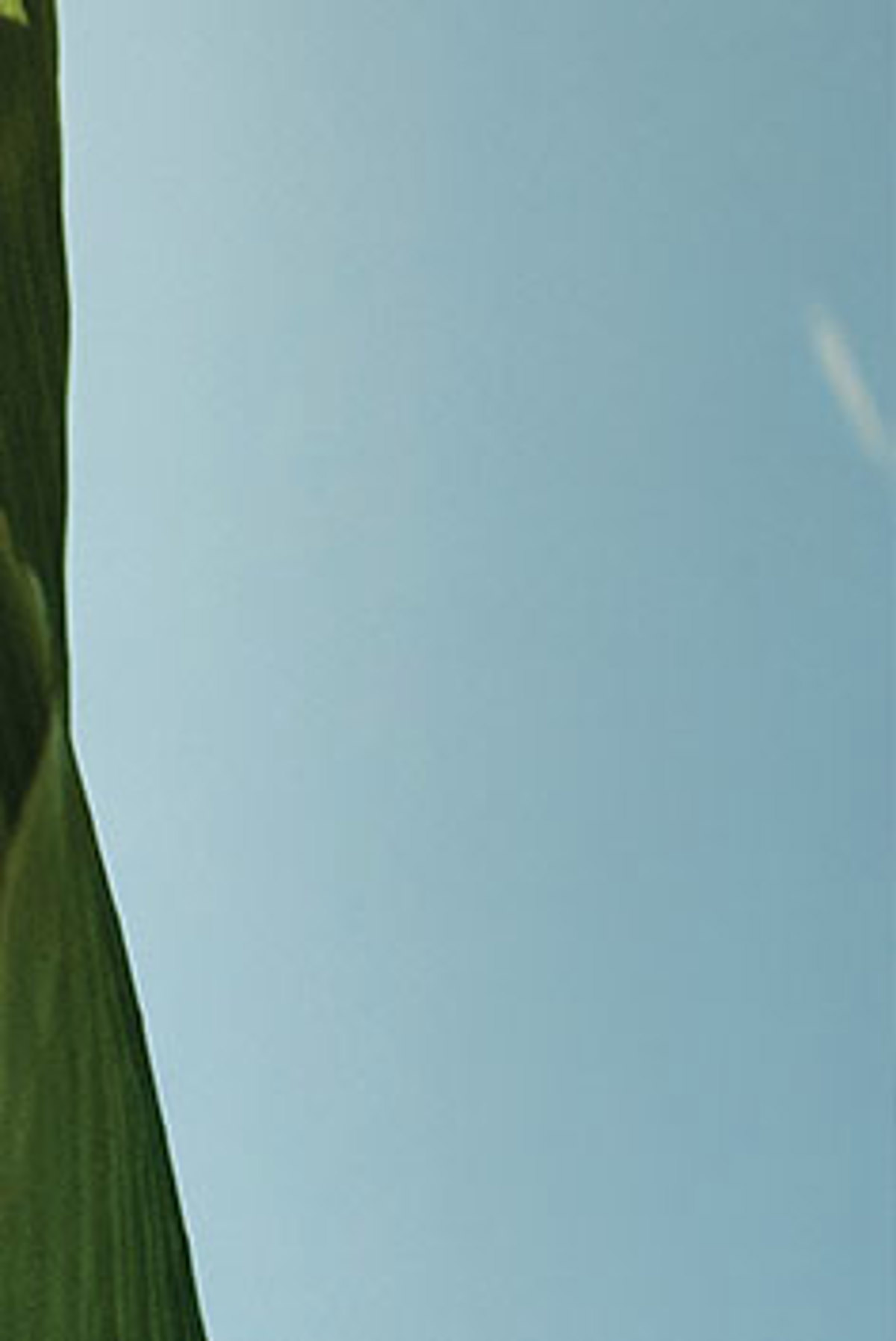 Granada Luxury Belek Galeri 7